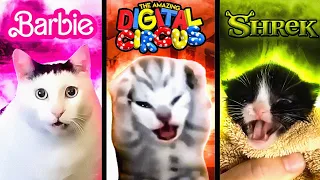 Meme Cats but Meme Music