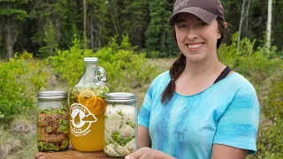 Harvesting Spruce Tips & Dandelions | Alaskan Summer Treats