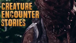 (3) Creepy Stories Submitted by Subscribers | Creature Encounters #2