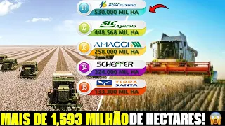 Top 5 MAIORES agricultores DO BRASIL! #fazendaeboi