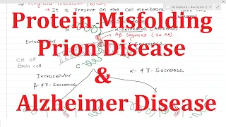 27. Protein Misfolding and Disorders | Alzheimer | Prion disease