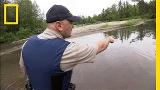 Protecting Alaska's Salmon | National Geographic