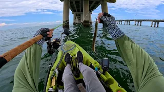 ONE LUCKY BIG CATCH - Sight Fishing With A Live Eel