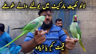 Cheapest Exotic Parrot & Birds Market Lalukhet in Pakistan 2022