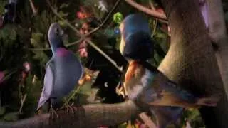 BIRDS OF PARADISE Official Trailer (2014) - Drake Bell, Jane Lynch, Ashley Tisdale
