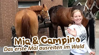 Ausreiten mit Mia Campi & Sito! Das erste Mal zu viert in den Wald - Wird Mia oben bleiben?