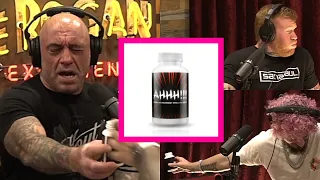 joe rogan, sean o'malley & tim Welch try smelling salts.