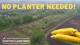 How To Broadcast Corn In Your Food Plots For Deer! No Planter Required!