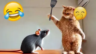 Try Not To Laugh😻🐕‍🦺Funniest Cats and Dogs 2024😹Part 12