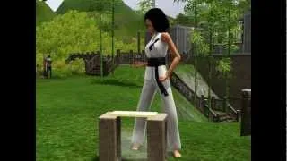 The Sims 3 - China