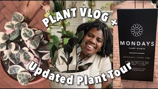 PLANT SHOPPING VLOG + UPDATED HOUSEPLANT TOUR| Visiting Mondays (fave plant shop) & plant collection