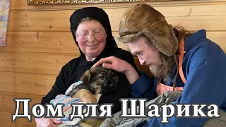 Монастырский щенок