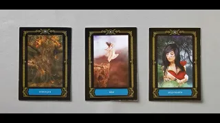 tarot: chọn tụ bài: mối tình kế tiếp của bạn