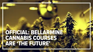 Colleges offer cannabis courses ahead of medical marijuana rollout in Kentucky