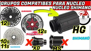 GRUPOS 1X10,1X11 Y 1X12 DE SHIMANO,SRAM Y SUNRACE COMPATIBLES PARA NUCLEO SHIMANO/ CICLISMO, BICI