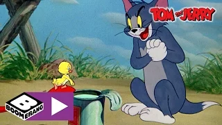 Tom i Jerry | Kaczki | Cartoonito