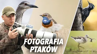 Jak Zacząć Fotografować Ptaki - Przewodnik dla Początkujących