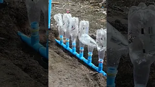 Trick Free electricity | I turn PVC pipe into a water pump at home free no need electricity power