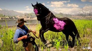 ARTHUR CATCH A BEST CHAROITE HORSE - RDR2 GAMEPLAY