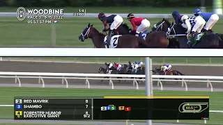 Woodbine, Tbred, September 15, 2022 Race 3