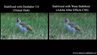 Deshaker (VD) vs Warp stabilizer (AAE6) - Stabilize & fix rolling shutter effect for a shaky video