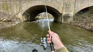 TROUT Fishing with Inline Spinners (rainbow & brown)