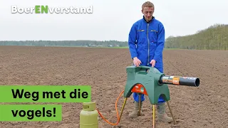 Voorkom vogeloverlast op het land en in de stal - BoerENverstand