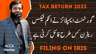 Income Tax Return 2023 | Government Employees Tax Return | Filing on IRIS | FBR | Income Tax |