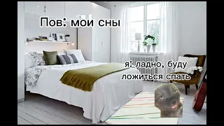 15-минутный СБОРНИК ВИДЕО С МЕМНЫМИ КОТАМИ!