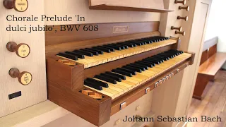 Lyndon Hills plays Chorale Prelude 'In dulci jubilo' BWV 608 by J.S. Bach