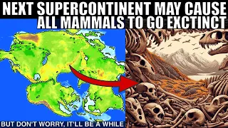 Next Supercontinent May Kill All Mammals on Earth in 250 Million Years