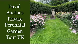 🌹 UK David Austin's Private Perennial Garden Walking Tour // Shropshire, England