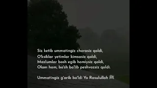 siz ketib ummatingiz g'arib bo'ldi,ya Rasulalloh! (#ibratli #rek,#rasulalloh