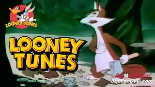 LOONEY TUNES (Looney Toons): Fox Pop (1942) (Remastered) (HD 1080p)