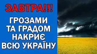 ПОГОДА НА ЗАВТРА : ПОГОДА 2 СЕРПНЯ