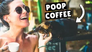 POOP COFFEE & RICE TERRACES | Last Day in Ubud, Bali, Indonesia