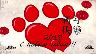 Новый год 2018 по китайскому календарю
