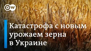 Катастрофа с новым урожаем зерна в Украине