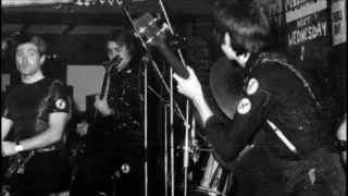 The Wasps - Peel Session 1979