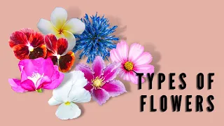 TYPES OF FLOWERS: COMPLETE & INCOMPLETE/PERFECT & IMPERFECT/MONOECIOUS & DIOECIOUS