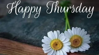 Good morning thursday rose 🌹 images