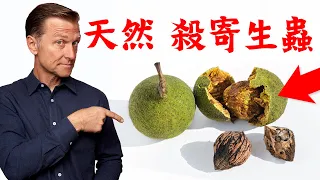 消除寄生蟲的自製配方,自然療法,柏格醫生 Dr Berg