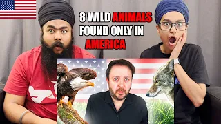 INDIAN Couple in UK Reacts to 8 Wild Animals I Only Encountered After Moving to America