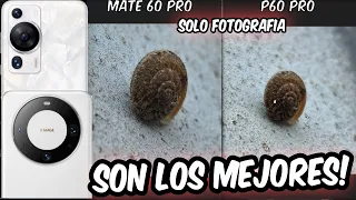 🚨 HUAWEI MATE 60 PRO vs P60 PRO 📸 COMPARATIVA REAL DE FOTOS (SON LOS MEJORES) - PARTE 1