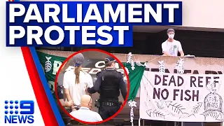 Protester climbs onto Parliament roof | 9 News Australia