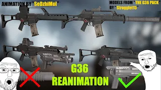 G36 Reanimation