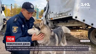 Новини України: в Полтавській області копи допомогли повернути додому собаку, який потрапив у ДТП
