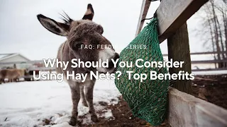 Why Should You Consider Using Hay Nets? Here Are the Top Benefits