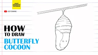 How to draw Butterfly Cocoon Easy