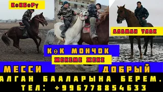 Тел +996778854633. Месси/ Көк Мончок/ Добрый. Алган бааларына берем дейт.